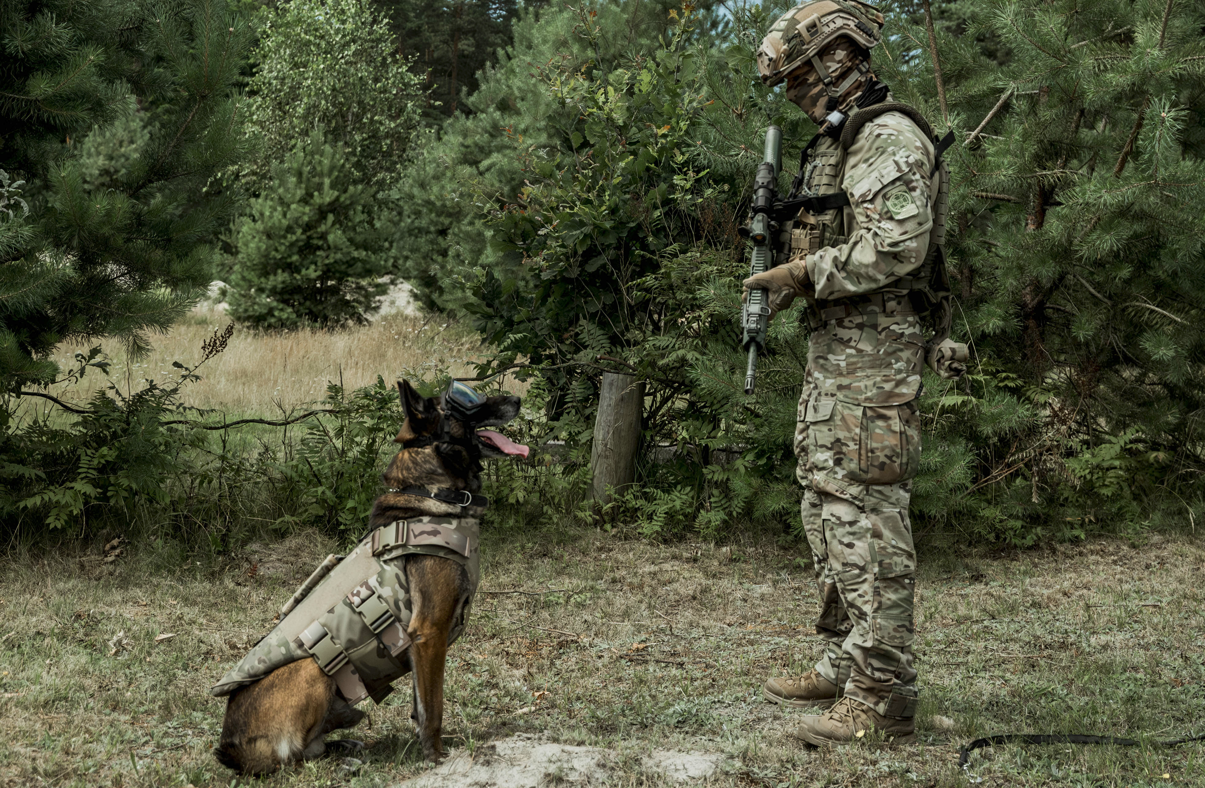 Ukrainian soldier with his military-trained dog. Source: https://war.ukraine.ua/imagebank/